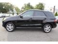 Black - ML 350 4Matic Photo No. 6