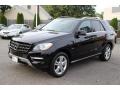 Black - ML 350 4Matic Photo No. 7