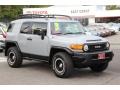 2013 Trail Teams Cement Gray Toyota FJ Cruiser Trail Teams Special Edition 4WD  photo #1