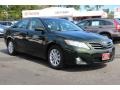 Spruce Green Mica 2011 Toyota Camry XLE V6