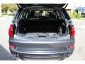 2013 Platinum Gray Metallic BMW X5 xDrive 35d  photo #21