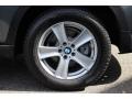 2013 Platinum Gray Metallic BMW X5 xDrive 35d  photo #33