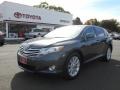 Magnetic Gray Metallic - Venza AWD Photo No. 1