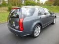 2008 Thunder Gray ChromaFlair Cadillac SRX 4 V6 AWD  photo #7