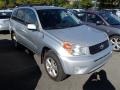 Titanium Metallic - RAV4 4WD Photo No. 1