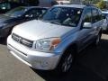 Titanium Metallic - RAV4 4WD Photo No. 3