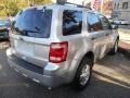 2010 Ingot Silver Metallic Ford Escape XLT 4WD  photo #4