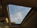 Alloy Metallic - Mountaineer Premier AWD Photo No. 16