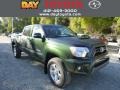 Spruce Green Mica - Tacoma V6 TRD Sport Double Cab 4x4 Photo No. 1