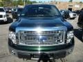 Green Gem Metallic - F150 XLT SuperCrew 4x4 Photo No. 6