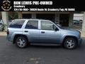 2006 Silver Blue Metallic Chevrolet TrailBlazer LS 4x4 #86558998
