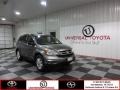 Urban Titanium Metallic - CR-V SE Photo No. 1