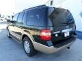 Green Gem - Expedition XLT Photo No. 3