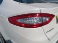White Platinum - Fusion SE EcoBoost Photo No. 15