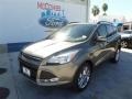 2014 Sterling Gray Ford Escape SE 1.6L EcoBoost  photo #1