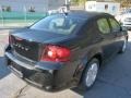 Black Clear Coat - Avenger SE Photo No. 5