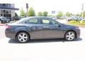 Graphite Luster Metallic - TSX Technology Photo No. 6