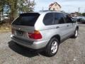 2001 Titanium Silver Metallic BMW X5 3.0i  photo #3