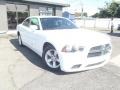 Ivory Pearl - Charger SE Photo No. 2
