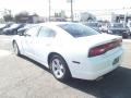 Ivory Pearl - Charger SE Photo No. 4