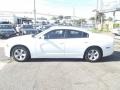 Ivory Pearl - Charger SE Photo No. 6