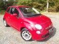 Rosso Brillante (Red Tri-Coat) - 500 Pop Photo No. 2