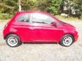 Rosso Brillante (Red Tri-Coat) - 500 Pop Photo No. 6