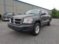 Mineral Gray Metallic 2008 Dodge Dakota SXT Crew Cab