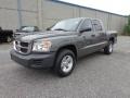 Mineral Gray Metallic - Dakota SXT Crew Cab Photo No. 9
