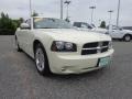 Stone White - Charger R/T Photo No. 15