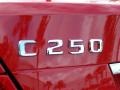 2014 Mercedes-Benz C 250 Sport Badge and Logo Photo