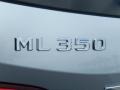 Iridium Silver Metallic - ML 350 Photo No. 4
