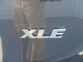 Magnetic Gray Metallic - RAV4 XLE Photo No. 15