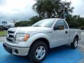 2013 Ingot Silver Metallic Ford F150 XLT Regular Cab  photo #1