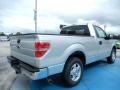 2013 Ingot Silver Metallic Ford F150 XLT Regular Cab  photo #3