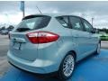 Ice Storm 2013 Ford C-Max Energi Exterior
