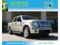 2010 Pueblo Gold Metallic Ford F150 XLT SuperCrew  photo #1