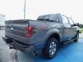 Sterling Gray Metallic 2013 Ford F150 FX4 SuperCrew 4x4 Exterior