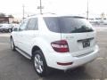 Arctic White - ML 350 4Matic Photo No. 3