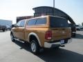 2012 Tequila Sunrise Pearl Dodge Ram 2500 HD ST Crew Cab 4x4  photo #4