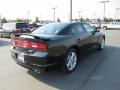 Pitch Black - Charger R/T Plus AWD Photo No. 5