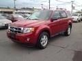 2001 Toreador Red Metallic Ford Escape XLS V6  photo #11