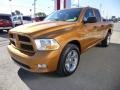 2012 Tequila Sunrise Pearl Dodge Ram 1500 ST Quad Cab 4x4  photo #3