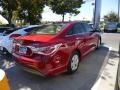 Venetian Red Pearl - Sonata Hybrid Photo No. 4