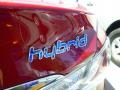Venetian Red Pearl - Sonata Hybrid Photo No. 6
