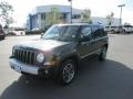 Jeep Green Metallic - Patriot Limited 4x4 Photo No. 2