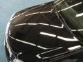 Sable Black - DeVille Sedan Photo No. 9