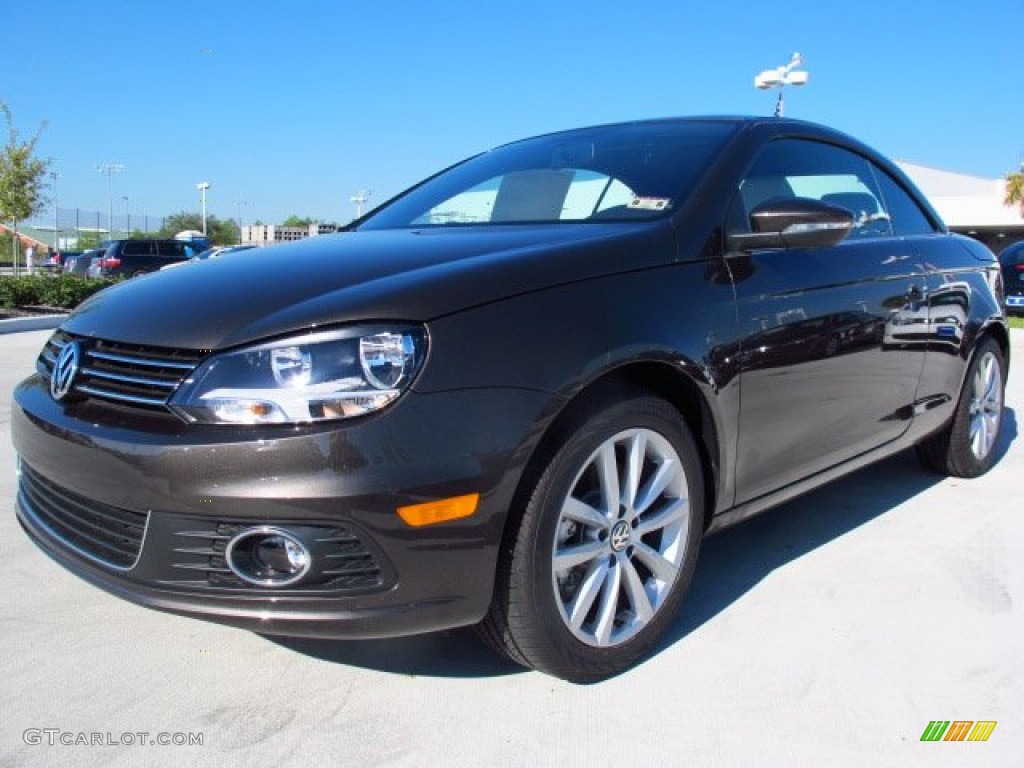 Black Oak Brown Metallic 2014 Volkswagen Eos Komfort Exterior Photo #86657497