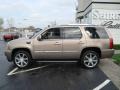 2007 Radiant Bronze Cadillac Escalade AWD  photo #7