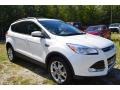 2013 White Platinum Metallic Tri-Coat Ford Escape SEL 2.0L EcoBoost 4WD  photo #1